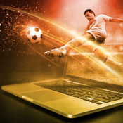 live football betting